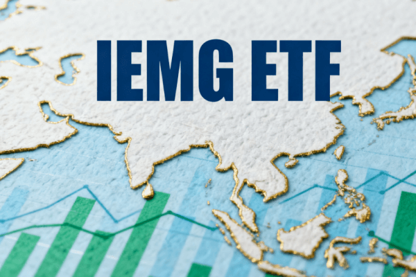 投资IEMG ETF前必看：股息、汇率与市场波动风险