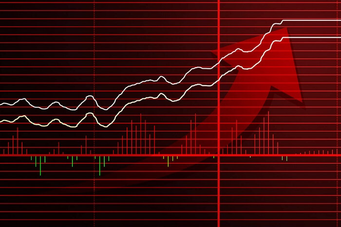 投機株の特徴とチャンス