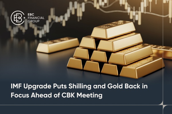 ​IMF Upgrade Puts Shilling and Gold Back in Focus Ahead of CBK Meeting