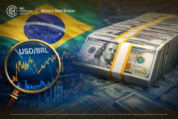 Dólar hoje: o que explica a cotação do dólar e por que ela importa?