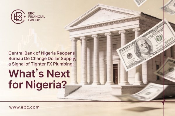 ​Central Bank of Nigeria Reopens Bureau De Change Dollar Supply: What's Next for Nigeria?