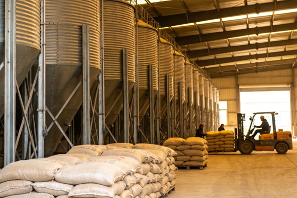 化肥股走強，台美股肥料概念股有哪些？