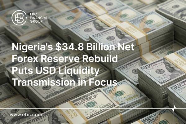 ​Nigeria's $34.8 Billion Net Forex Reserve Rebuild Puts USD Liquidity Transmission in Focus