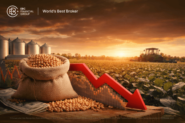 Boa Safra (SOJA3) em prejuízo: excesso de sementes revela risco estrutural no agro. Oportunidade ou alerta para investidores?