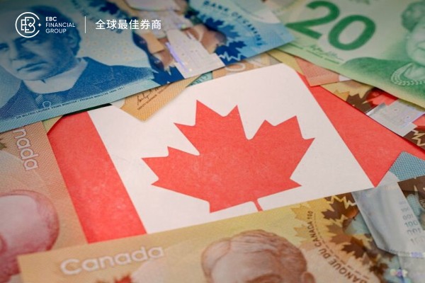 加元匯率橫盤整理 波士頓科學股東緊張