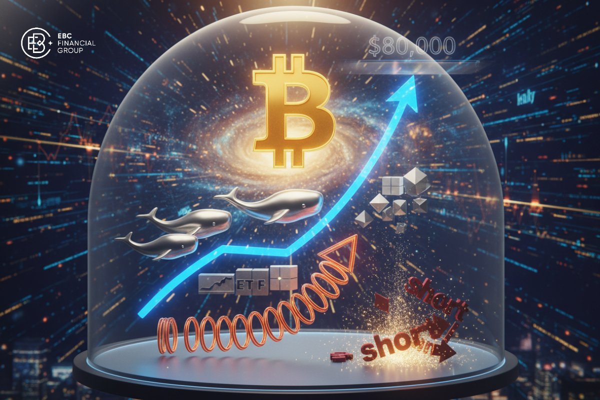 Bitcoin (BTC) vượt $80.000: ETF, cá voi và short squeeze đang định giá lại BTC/USD