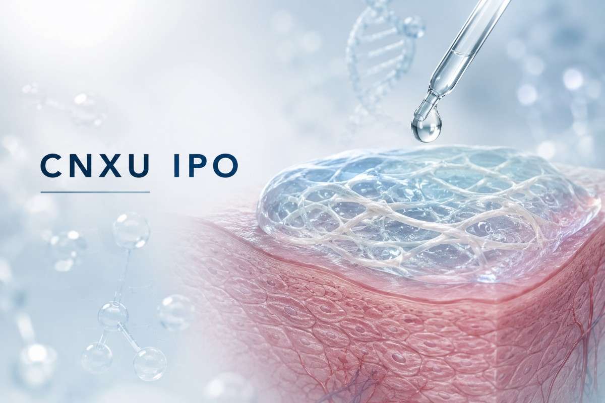 IPO CNXU Dijelaskan: Tanggal, Harga, dan 5 Risiko Pencatatan Langsung