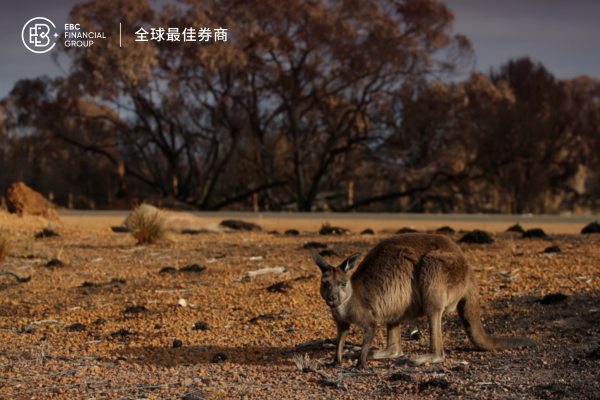 人工智能主宰世界后 澳元短期获支撑前景受限